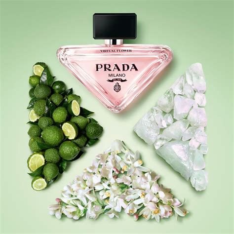 prada paradoxe jasmin